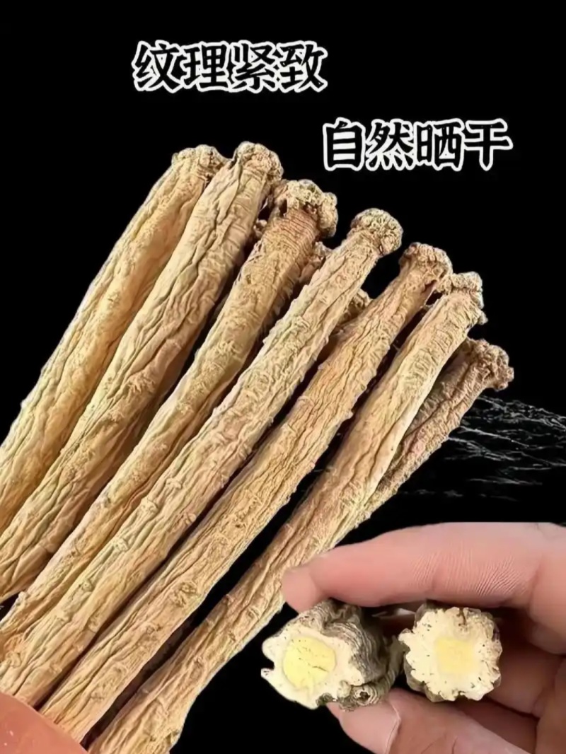 甘肃党参