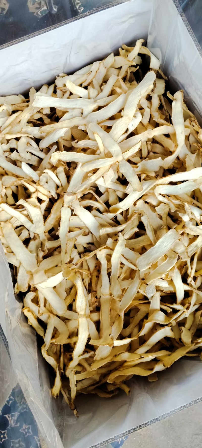玉竹统片大货