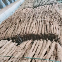 党参鲜货，干货，有大，中，小