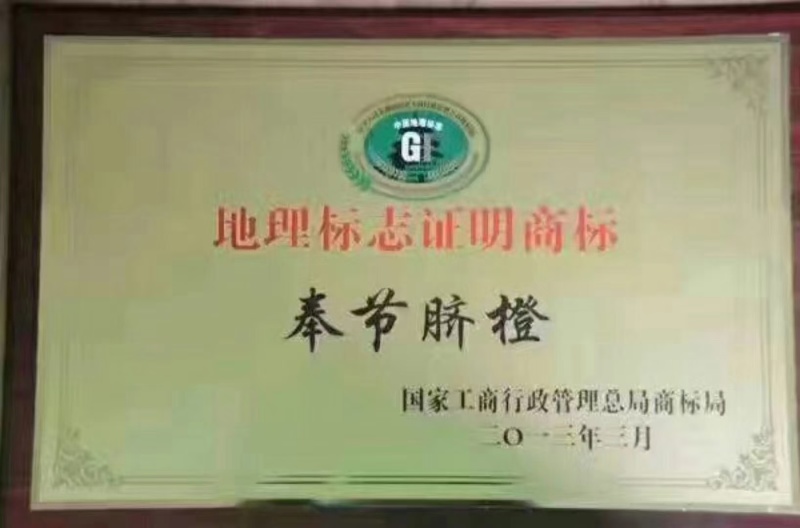 重庆奉节脐橙