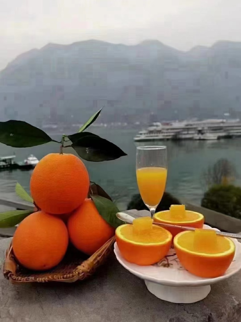 重庆奉节脐橙