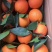 重庆奉节脐橙
