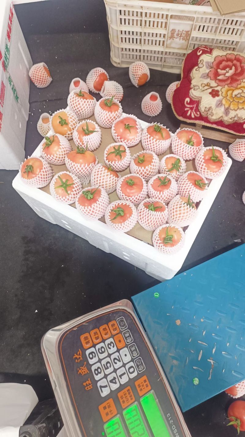 硬粉西红柿量大，品质好