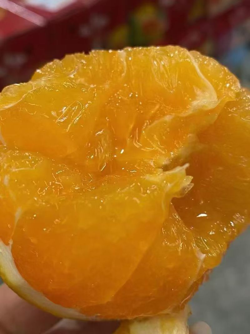 秭归九月红脐橙代办，保证甜，量大从优，产地货源，整车发货