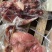优质牛头肉无杂质保证产地直发新鲜到家欢迎联系