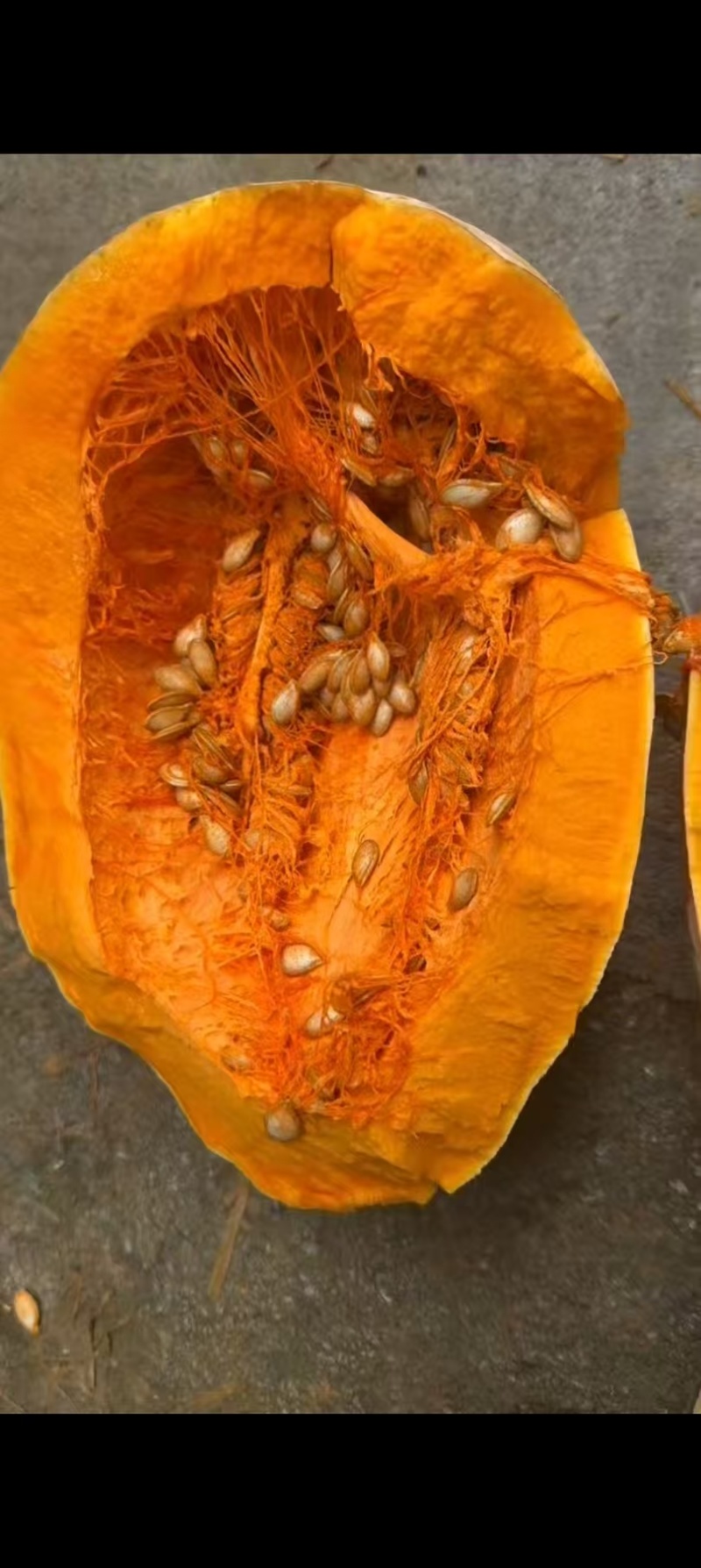 蜜本南瓜，老南瓜，产地直发，大量有货