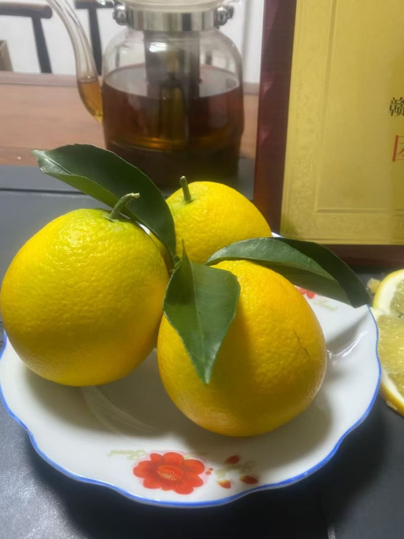 脐橙