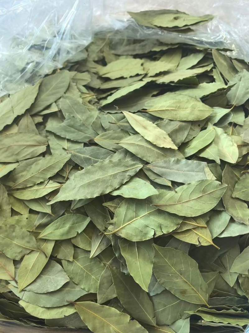 特绿香叶统货精选货