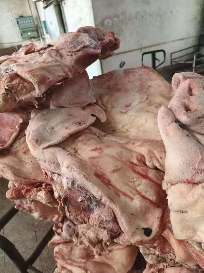 母猪带耳劈半猪头