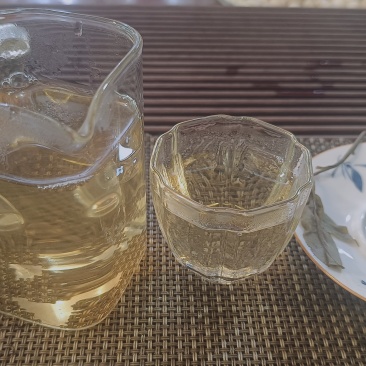 24年春