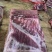 猪副产品猪肉原板五花肉/精品中方五花肉/规格齐全/量大价优
