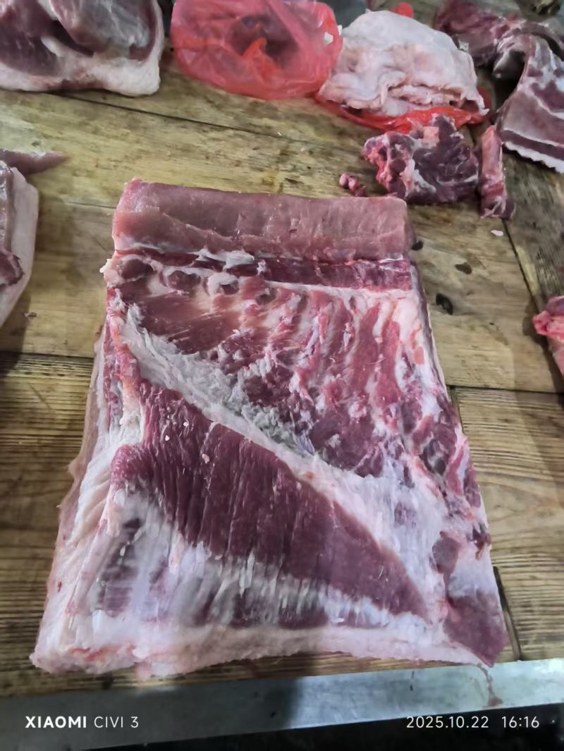 猪副产品猪肉原板五花肉/精品中方五花肉/规格齐全/量大价优