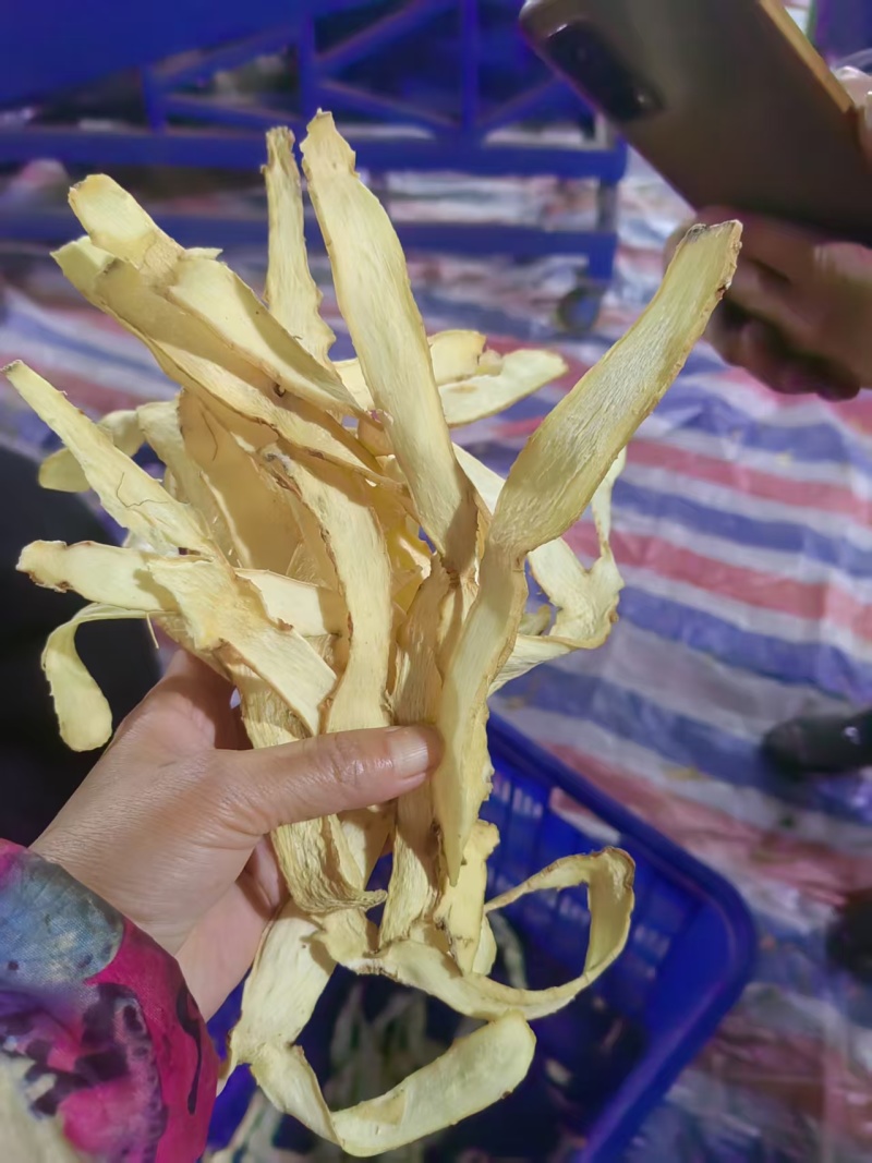 玉竹片