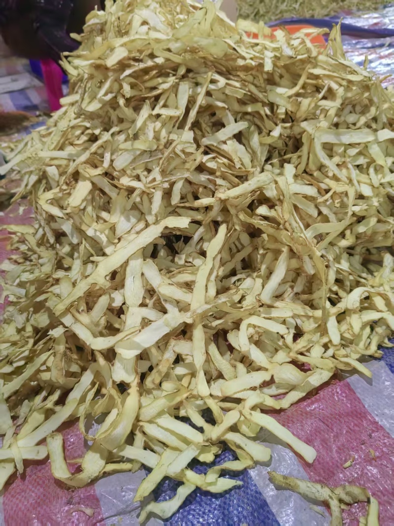 玉竹片