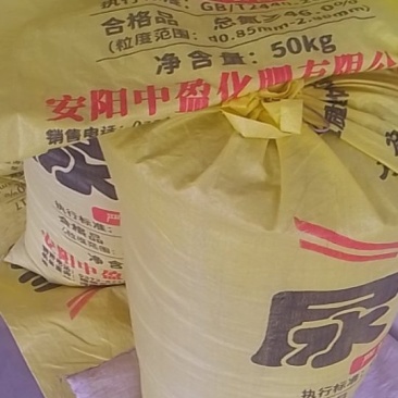 谷子，新种的谷子