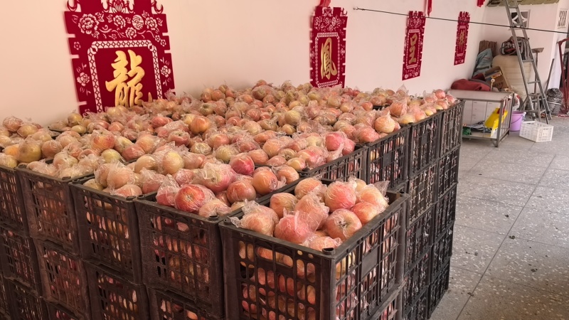 万荣红富士苹果