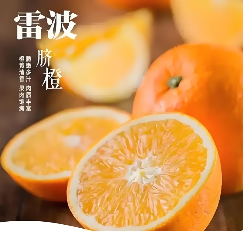 有85.90.95.