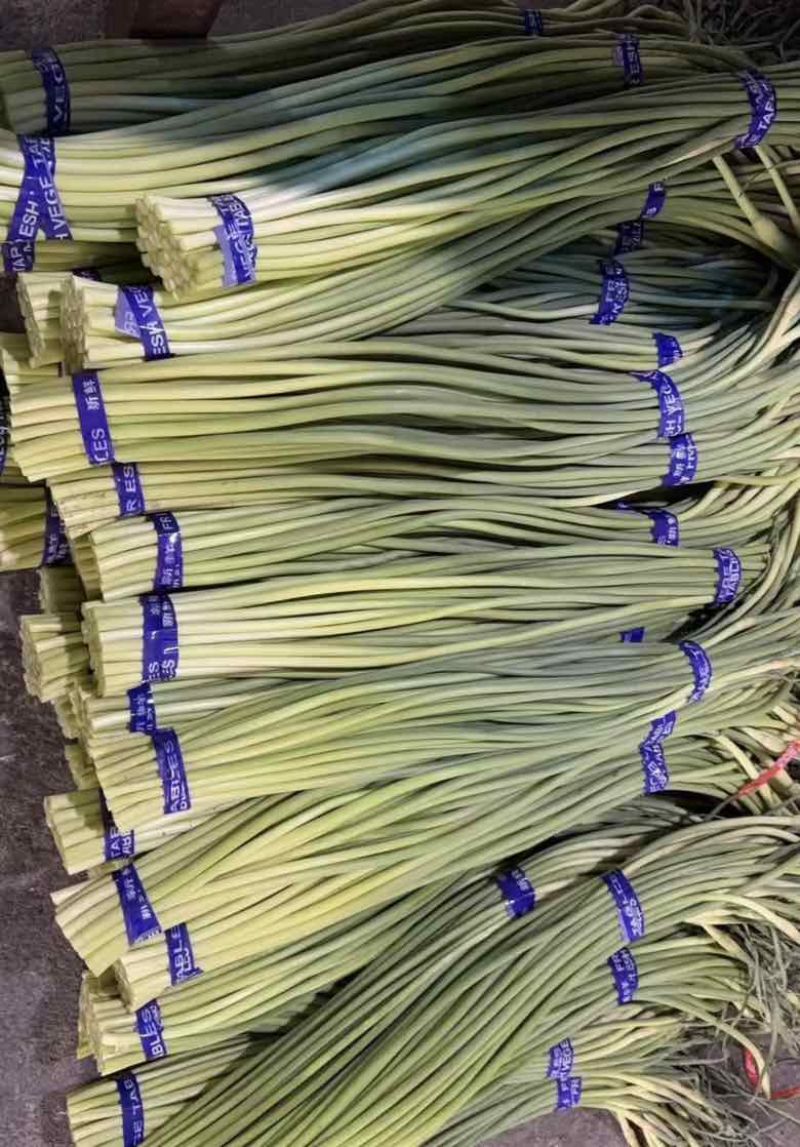 兰陵短苔欢迎电商来问，支持全国一件代发，