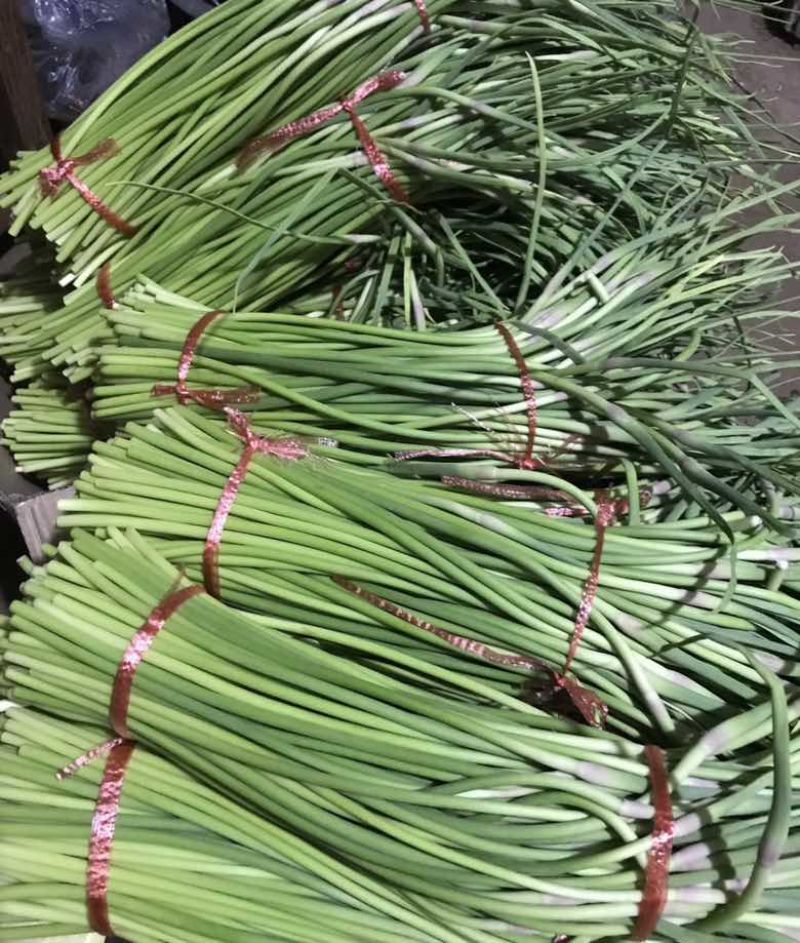 兰陵短苔欢迎电商来问，支持全国一件代发，