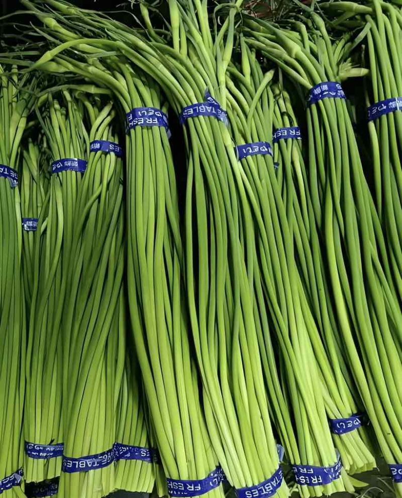 兰陵短苔欢迎电商来问，支持全国一件代发，