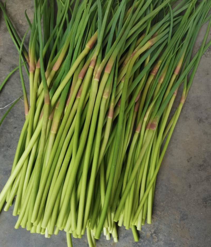 兰陵短苔欢迎电商来问，支持全国一件代发，