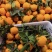 橙子🍊