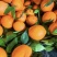 橙子🍊