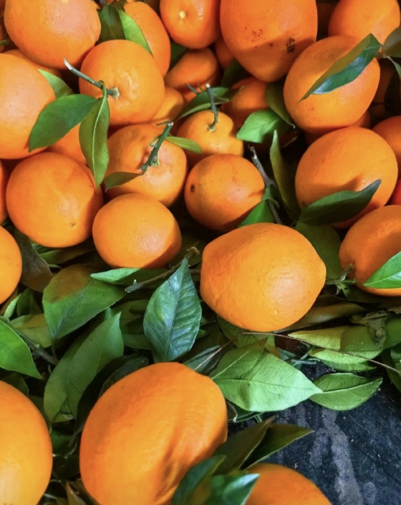 橙子🍊