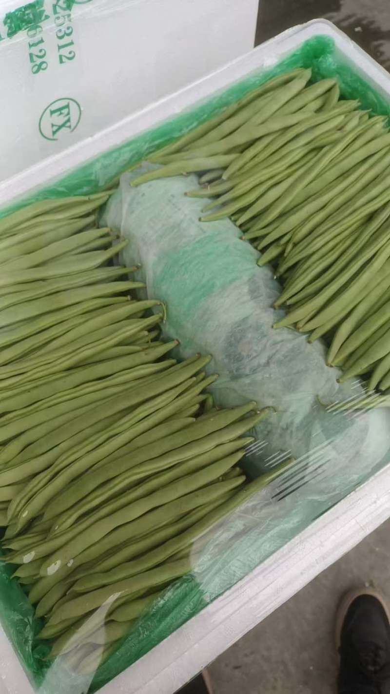 一手货源每天保一个六米八量大价优品质保证
