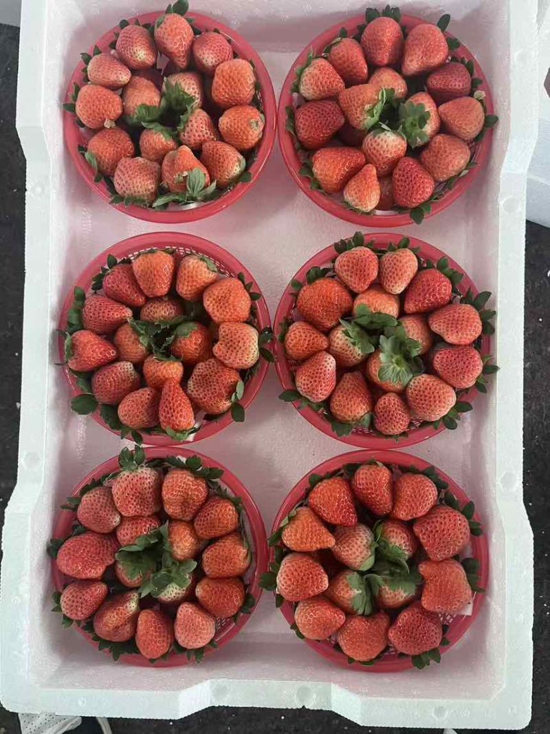 草莓代办