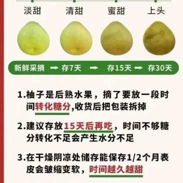 合江真龙镇，真龙柚