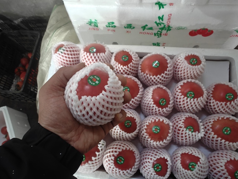 精品硬粉西红柿