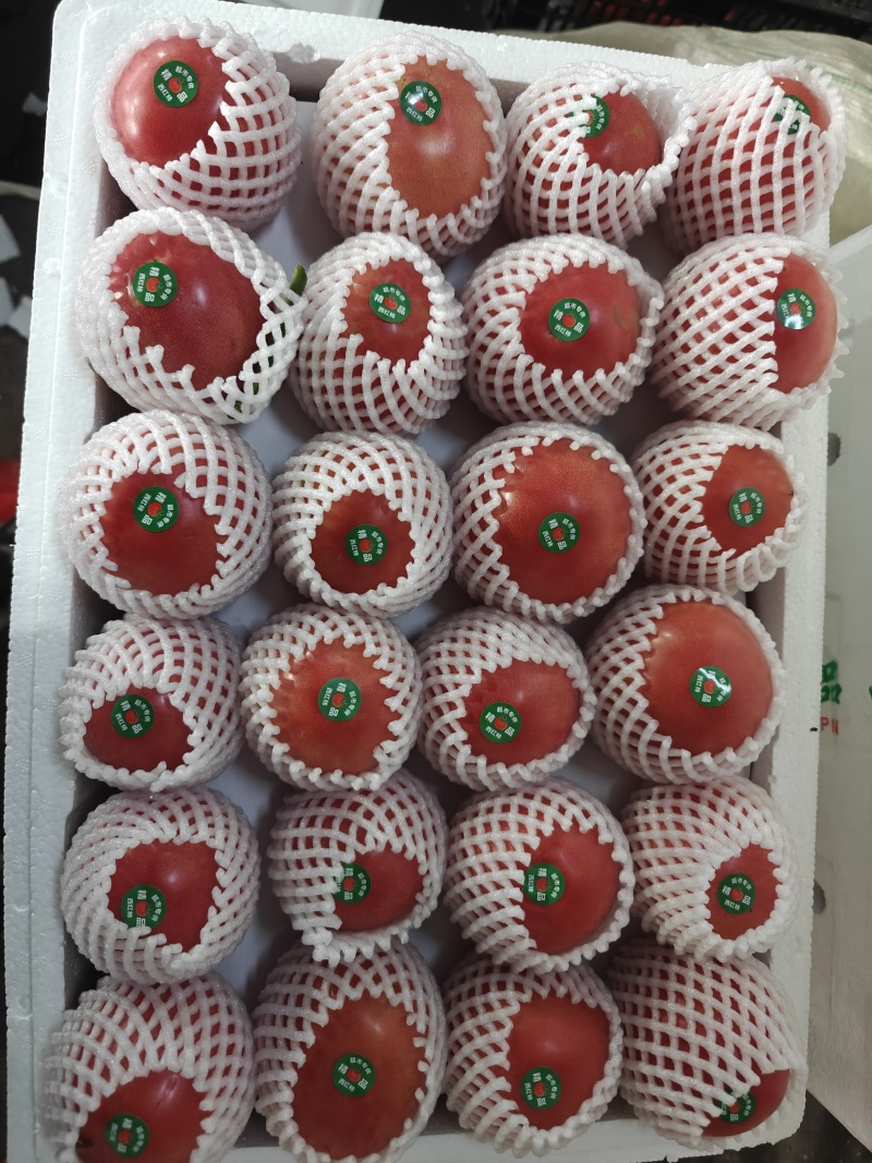 精品硬粉西红柿