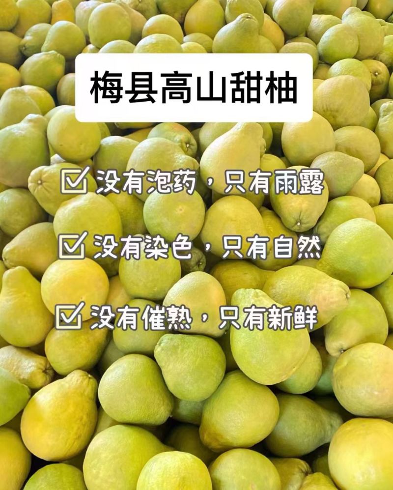 梅州沙田柚