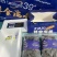 鲜海参99一斤，口感哈。刺海参