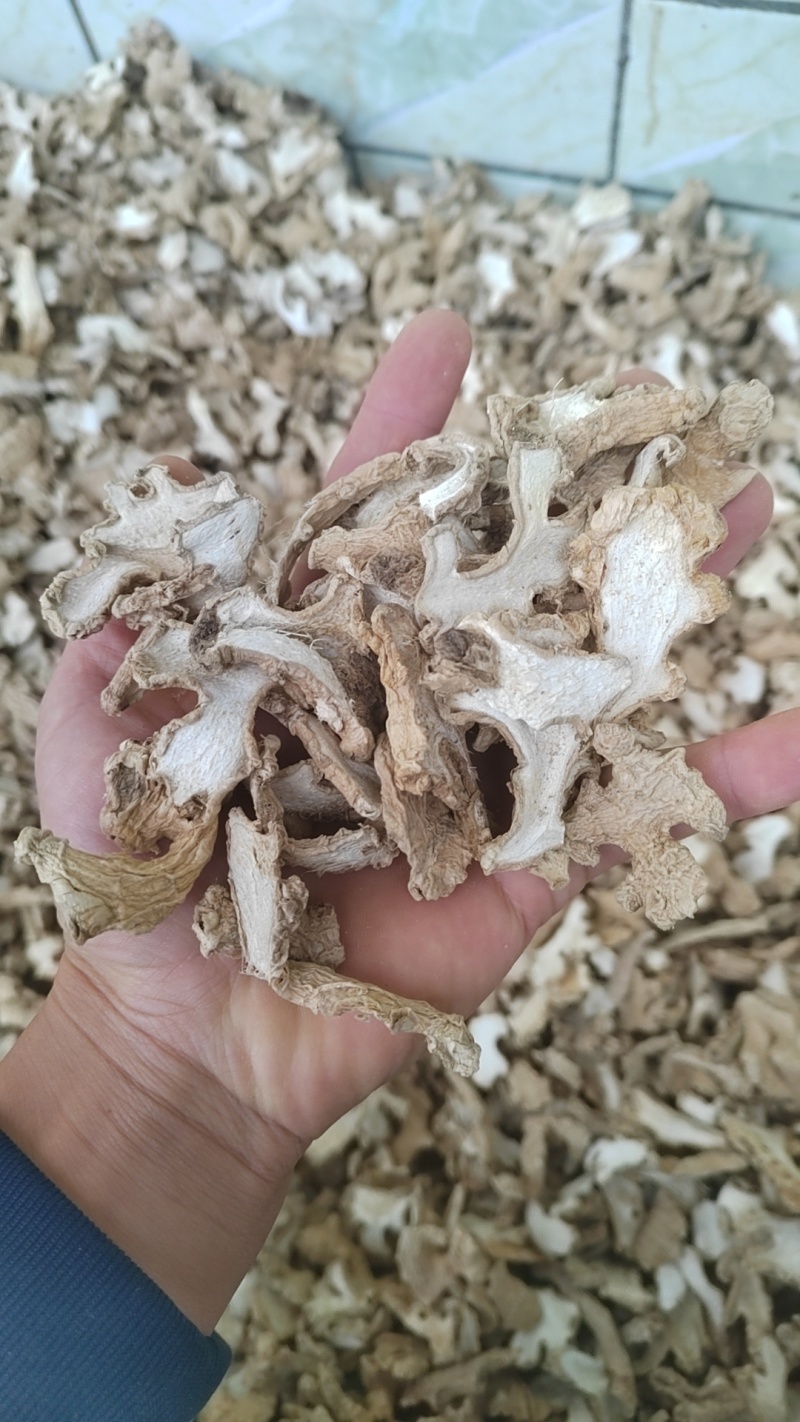 中药材母姜片