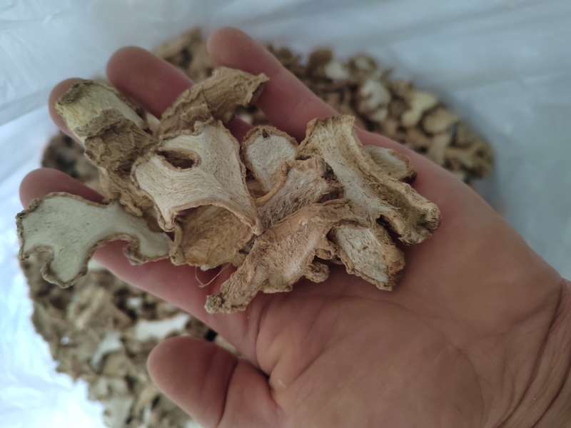 中药材母姜片
