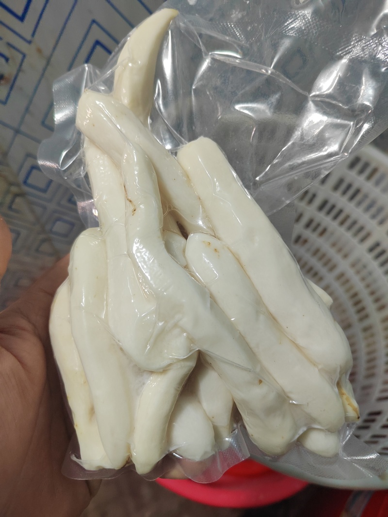 广东姜薯产地直发一手货源可视频看货欢迎咨询