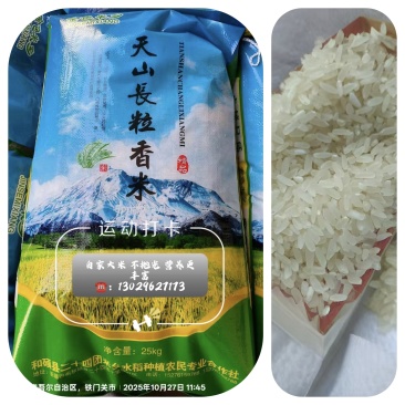 天山长粒香大米