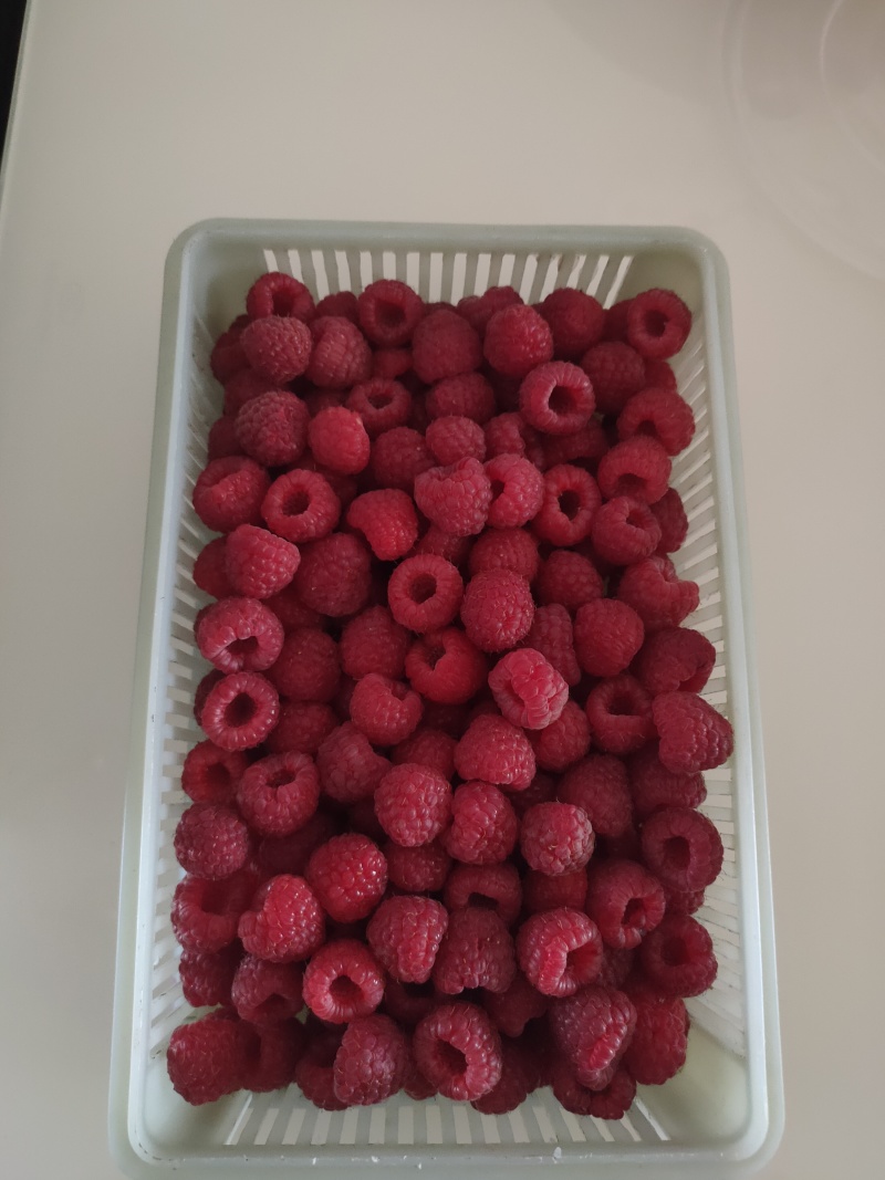 东北，红树苺，(鲜果，冻果)
