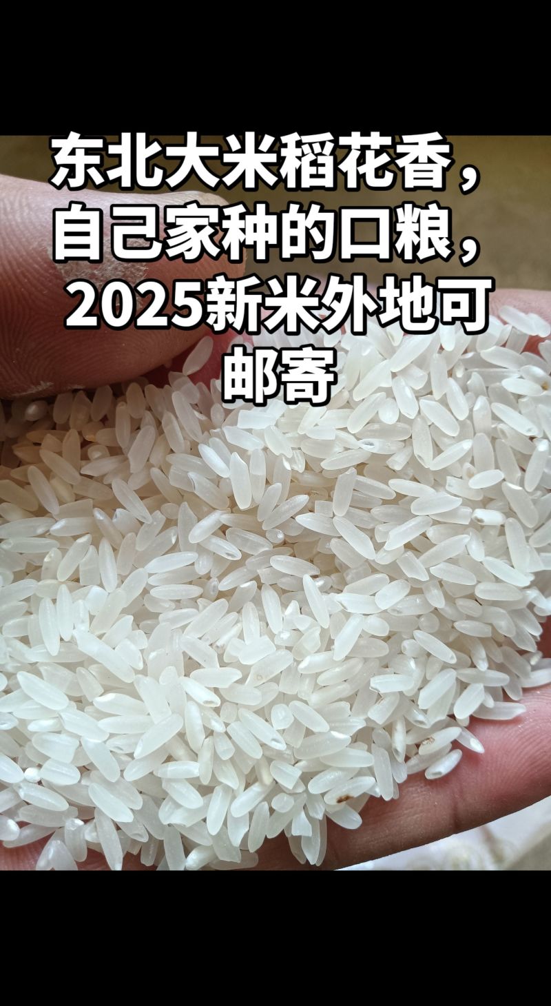 东北大米稻花香！2025新米不抛光不打蜡不批发，只零售！
