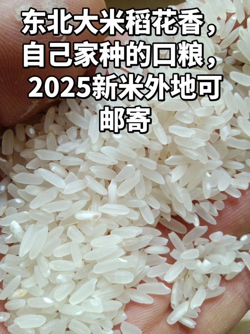 东北大米稻花香！2025新米不抛光不打蜡不批发，只零售！