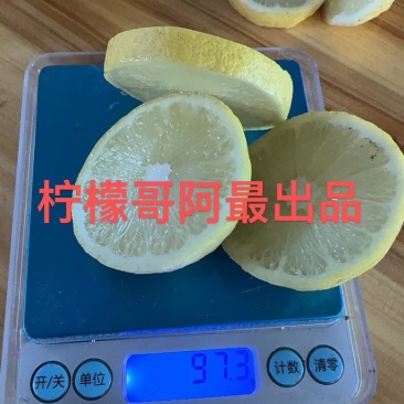 广东香水柠檬黄柠檬