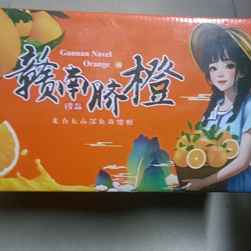 橙子甜橙自家果园采摘现采现发当天发第二天到顺丰包邮批发零售团