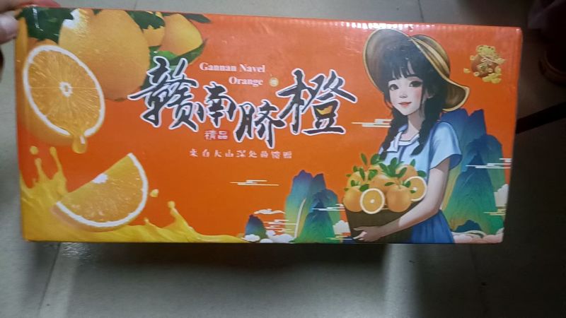 橙子甜橙自家果园采摘现采现发当天发第二天到顺丰包邮批发零售团