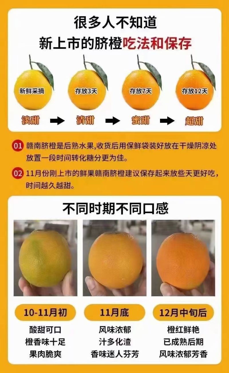 橙子甜橙自家果园采摘现采现发当天发第二天到顺丰包邮批发零售团