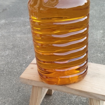 江西山茶油