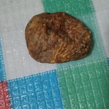 鸭宝，自然风干，放10多年了！