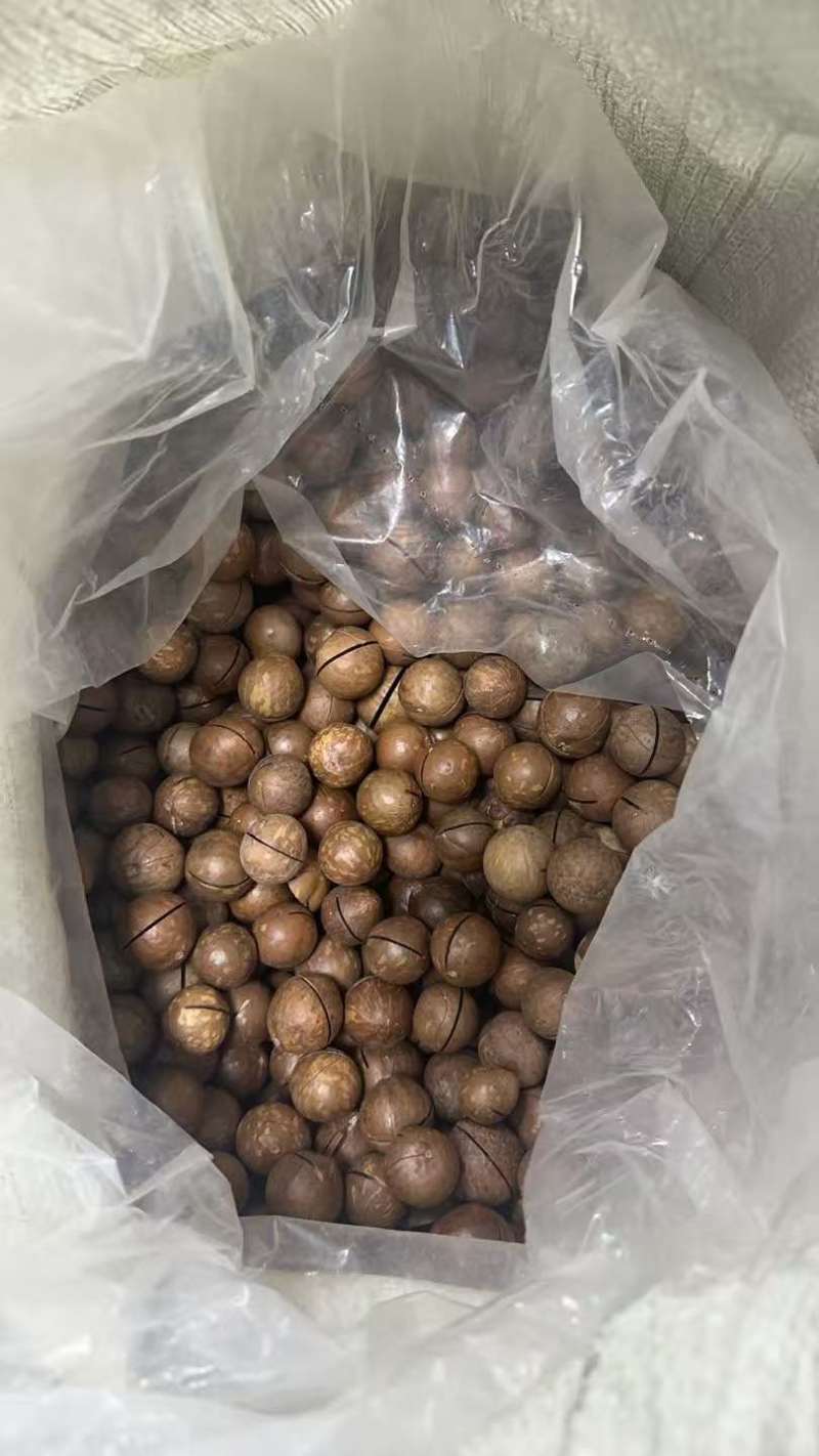 夏威夷果电商一件代发，欢迎老板们来考察，量大的来