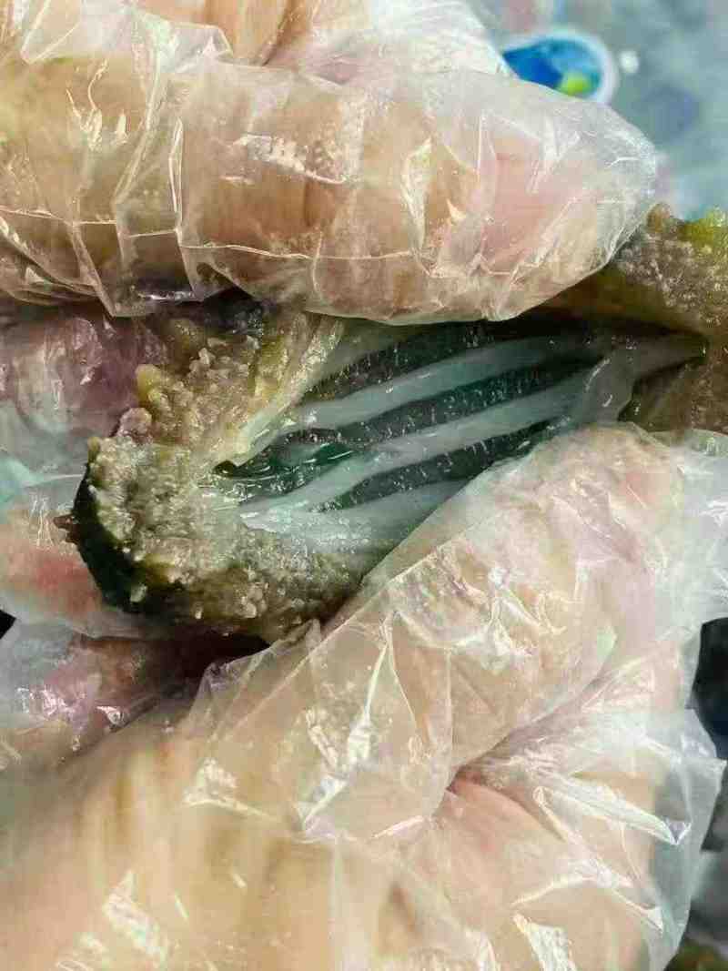 威海本地即食海参。大头6-8只要88一斤